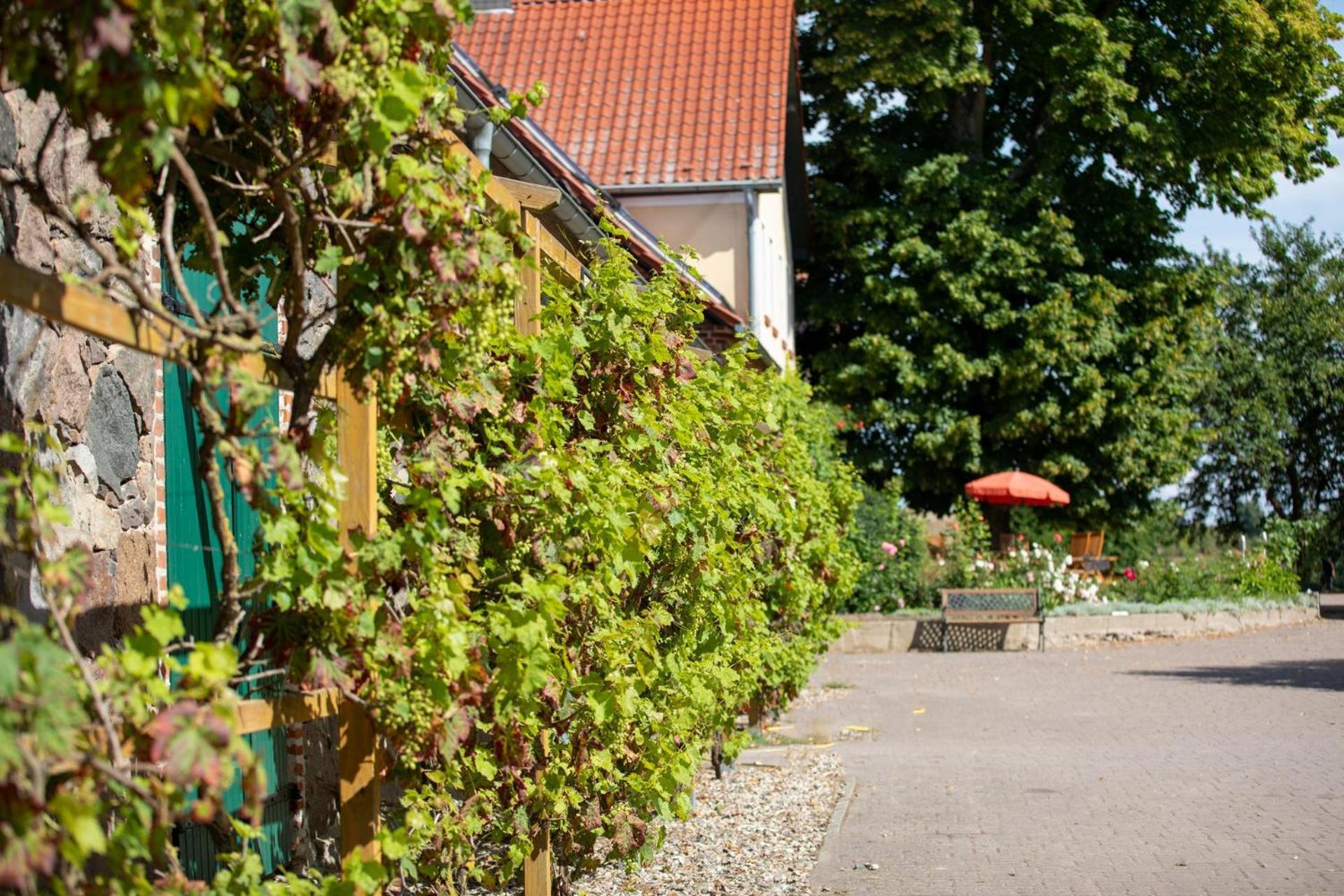 Landurlaub Auf Dem Mellenhof Leilighet Funkenhagen Eksteriør bilde
